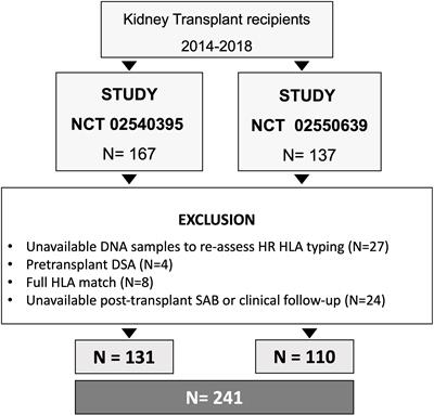 On the clinical relevance of using complete high-resolution HLA typing for an accurate interpretation of posttransplant immune-mediated graft outcomes